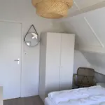 The House *