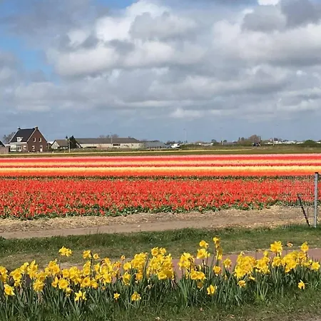 The House Noordwijkerhout