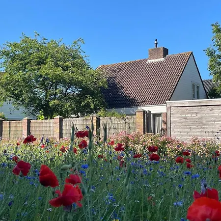 The House Holiday home