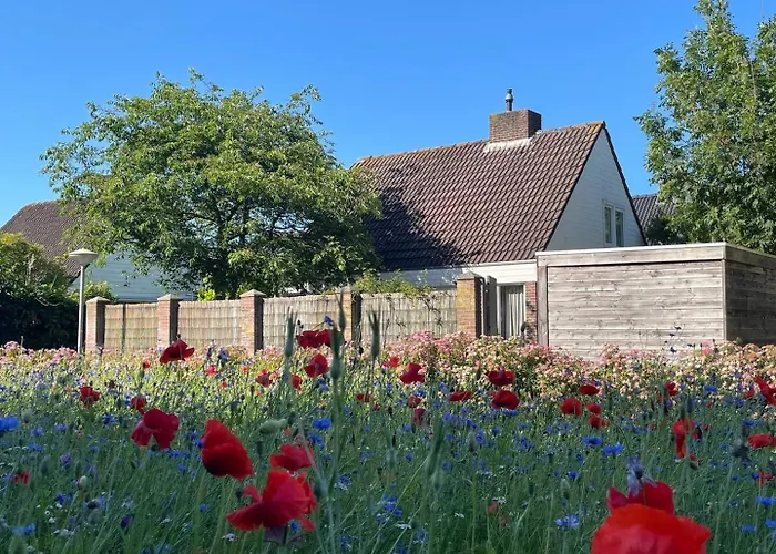 The House Holiday home