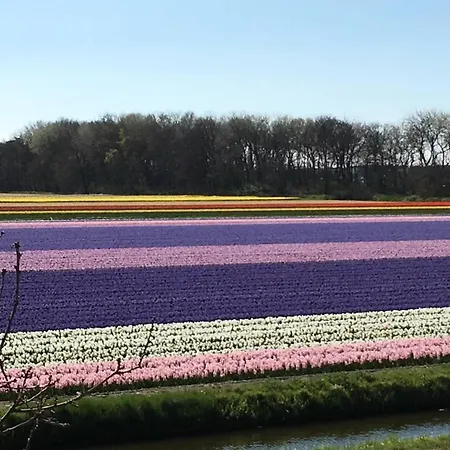 Feriehus The House Noordwijkerhout